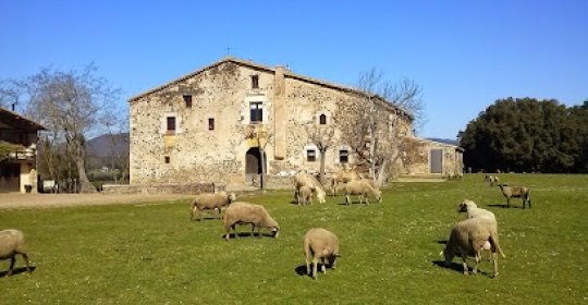 Casa de colònies Mas Suro